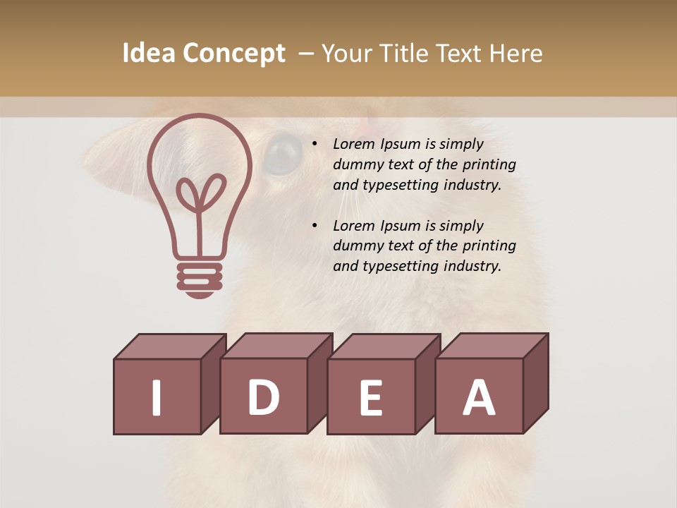 Baby Feline Young PowerPoint Template