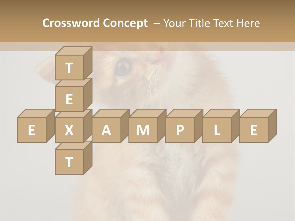 Baby Feline Young PowerPoint Template