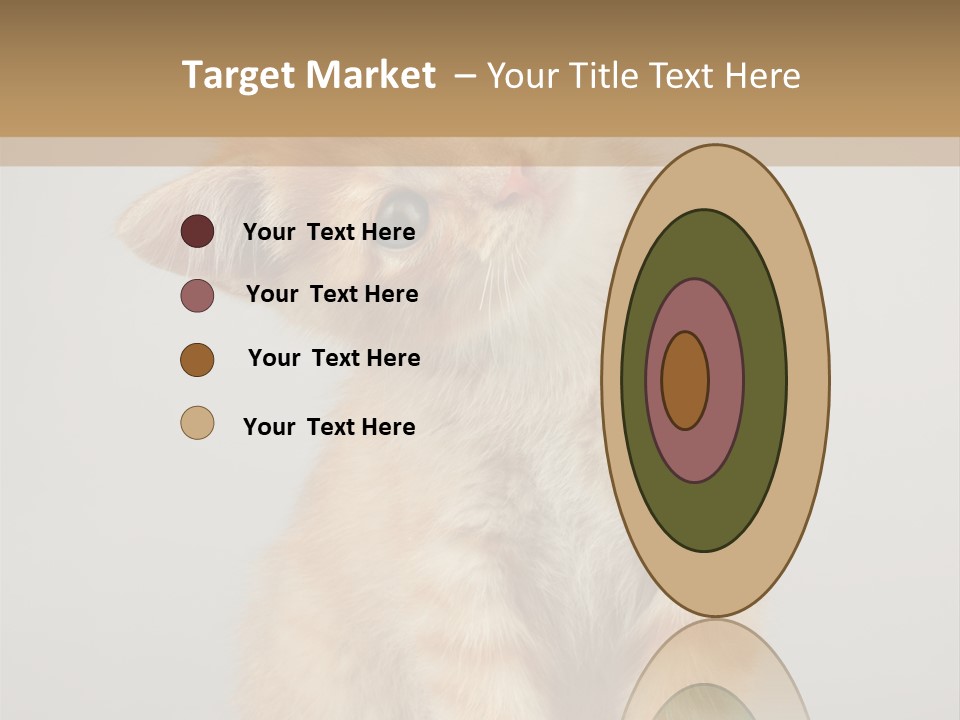 Baby Feline Young PowerPoint Template