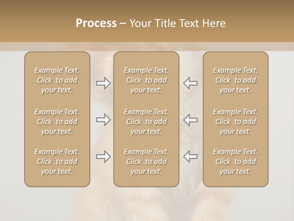 Baby Feline Young PowerPoint Template