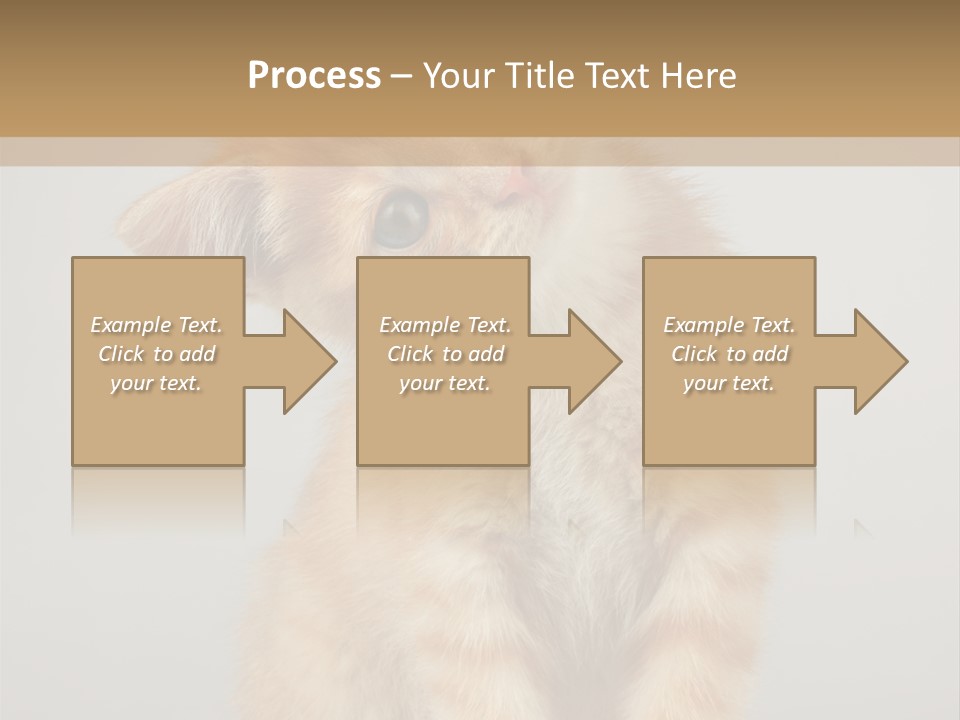 Baby Feline Young PowerPoint Template