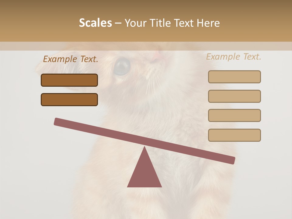 Baby Feline Young PowerPoint Template