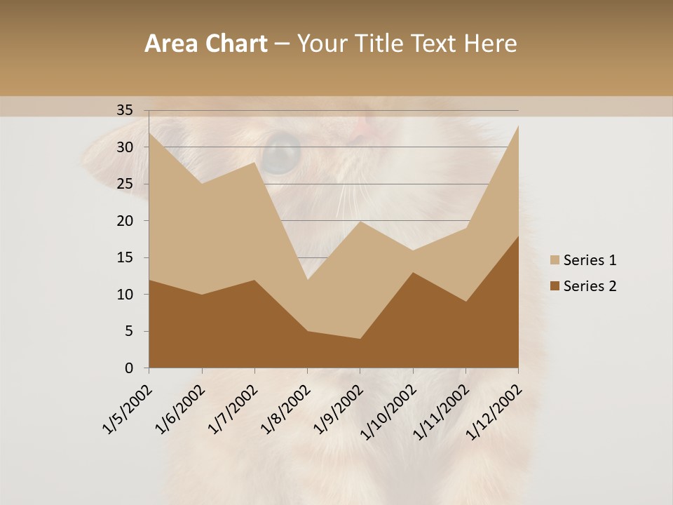Baby Feline Young PowerPoint Template
