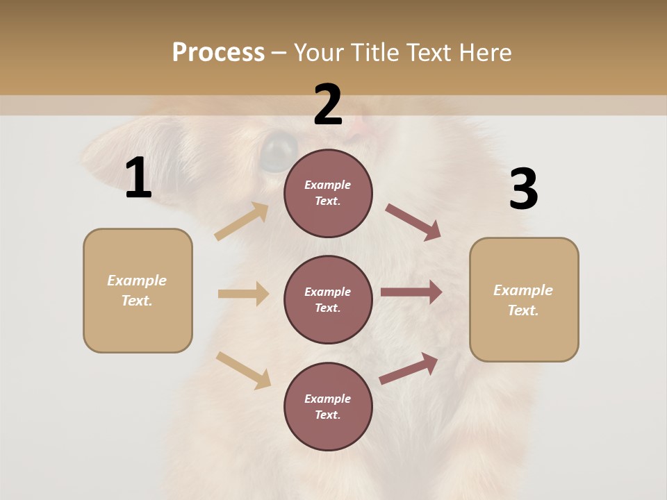 Baby Feline Young PowerPoint Template