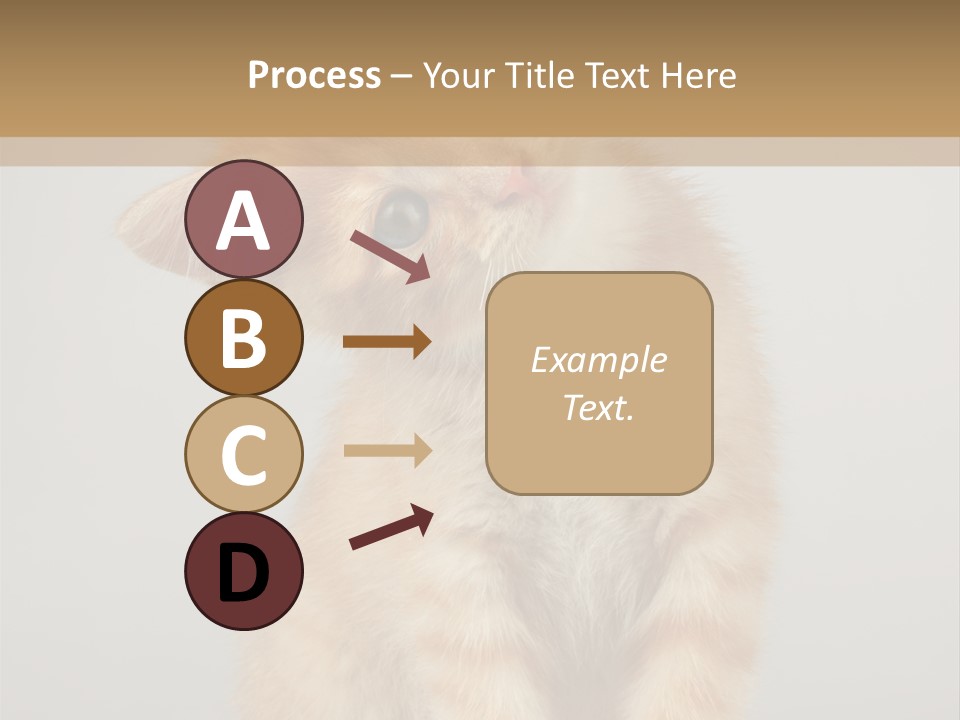 Baby Feline Young PowerPoint Template