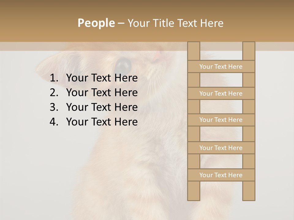 Baby Feline Young PowerPoint Template