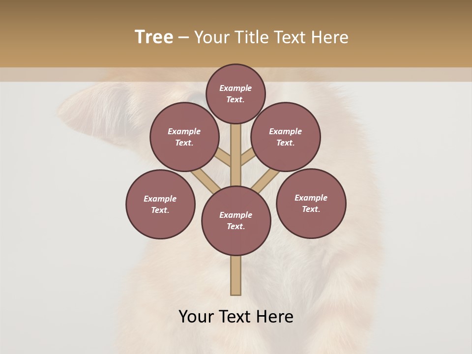 Baby Feline Young PowerPoint Template