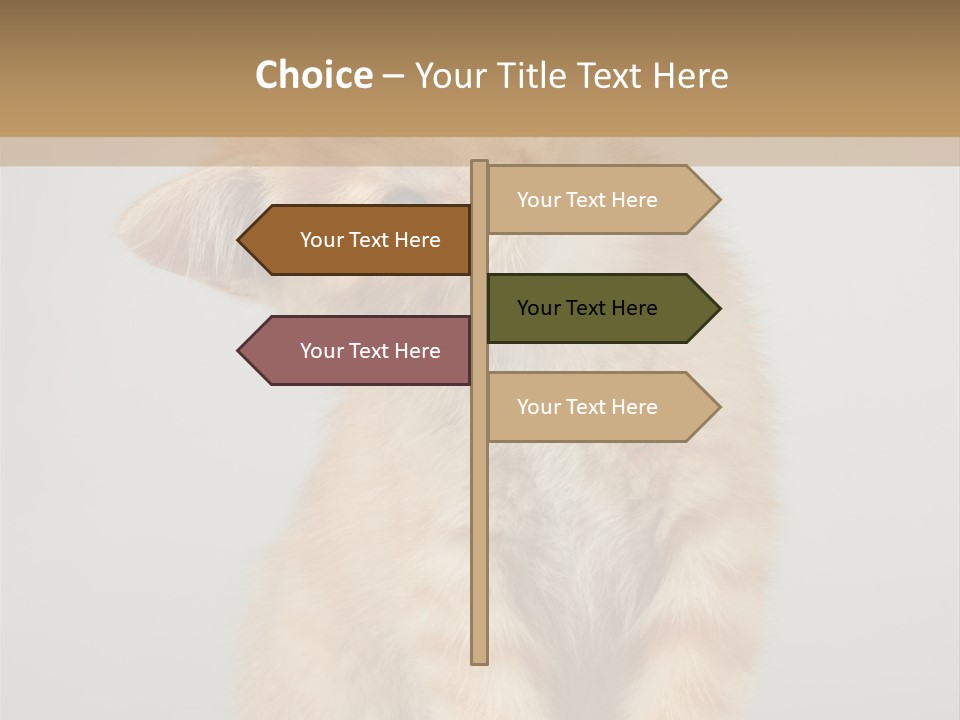 Baby Feline Young PowerPoint Template