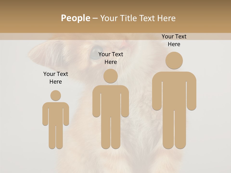 Baby Feline Young PowerPoint Template