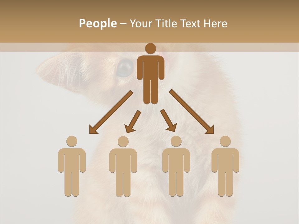 Baby Feline Young PowerPoint Template