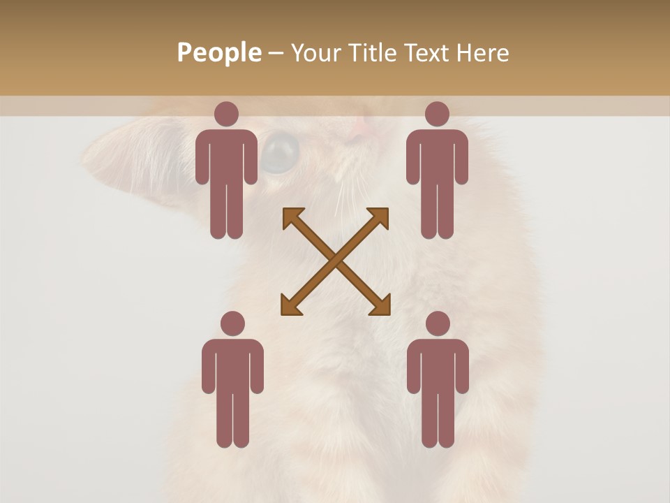 Baby Feline Young PowerPoint Template