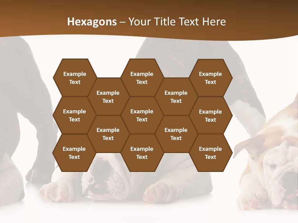 Front Three Standing PowerPoint Template