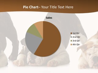 Front Three Standing PowerPoint Template