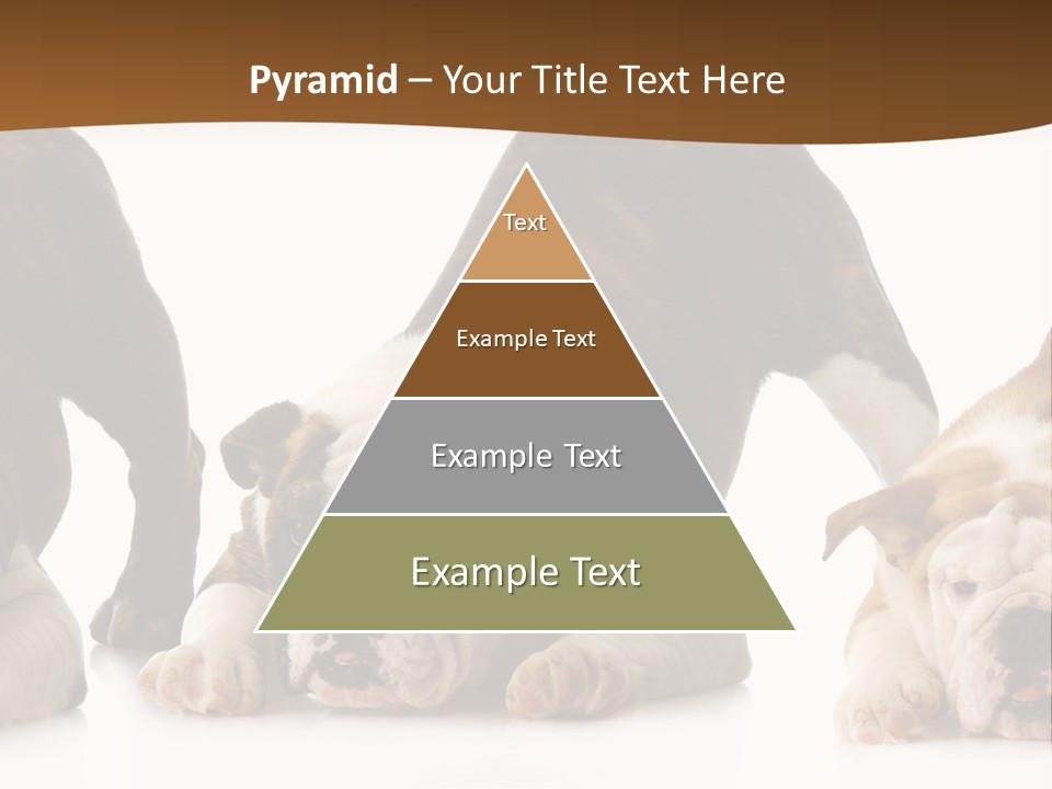 Front Three Standing PowerPoint Template