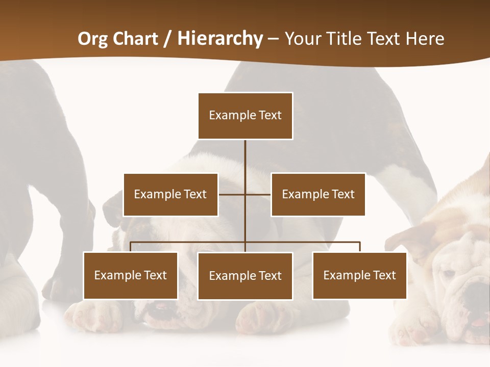 Front Three Standing PowerPoint Template