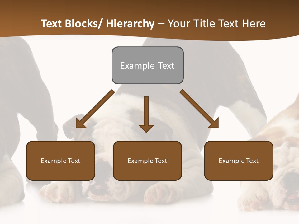 Front Three Standing PowerPoint Template