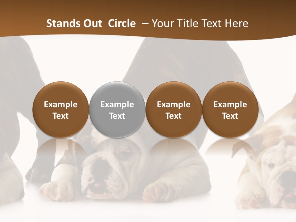 Front Three Standing PowerPoint Template