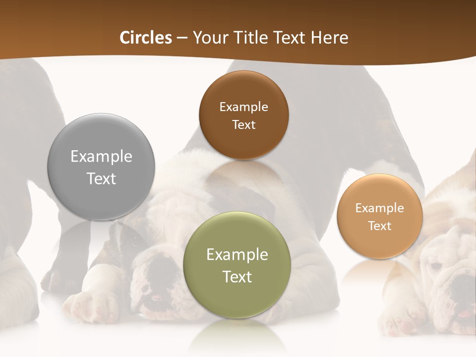 Front Three Standing PowerPoint Template