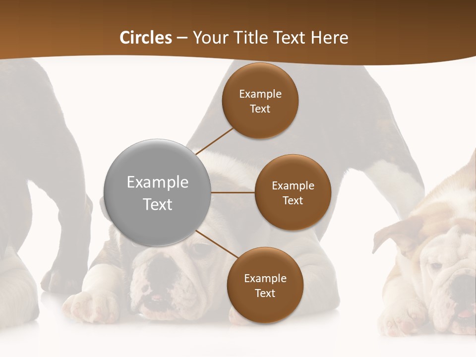 Front Three Standing PowerPoint Template