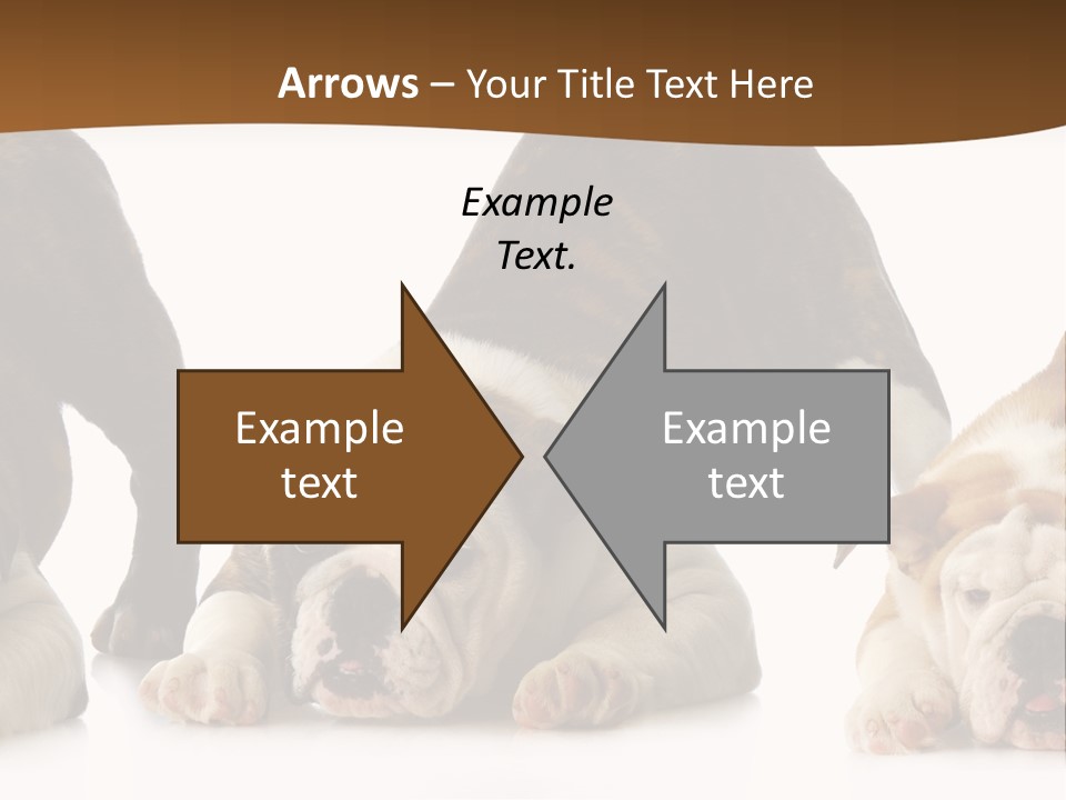 Front Three Standing PowerPoint Template