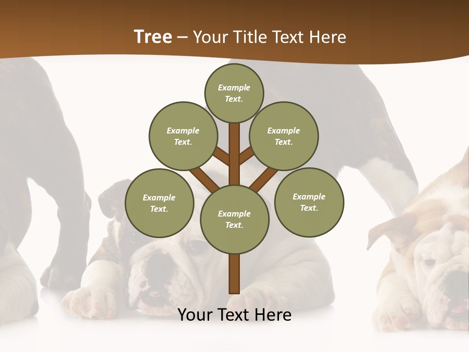 Front Three Standing PowerPoint Template