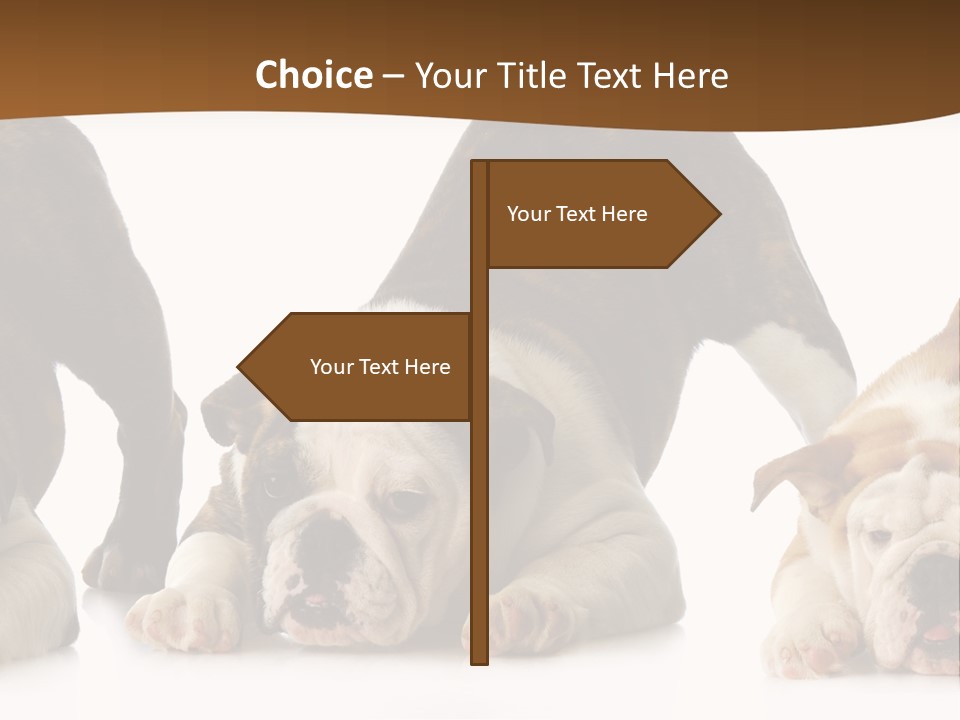 Front Three Standing PowerPoint Template