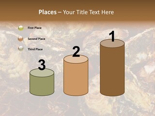 Taste Oyster Lot PowerPoint Template