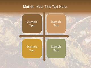 Taste Oyster Lot PowerPoint Template