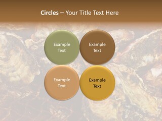 Taste Oyster Lot PowerPoint Template