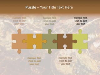 Taste Oyster Lot PowerPoint Template