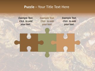 Taste Oyster Lot PowerPoint Template