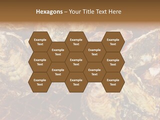 Taste Oyster Lot PowerPoint Template