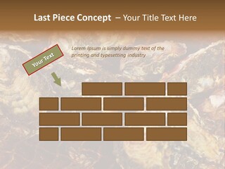 Taste Oyster Lot PowerPoint Template