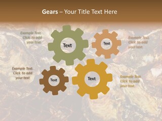 Taste Oyster Lot PowerPoint Template