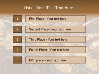 Taste Oyster Lot PowerPoint Template