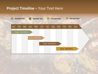Taste Oyster Lot PowerPoint Template