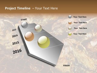 Taste Oyster Lot PowerPoint Template