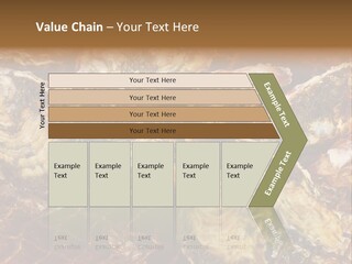 Taste Oyster Lot PowerPoint Template