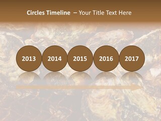Taste Oyster Lot PowerPoint Template
