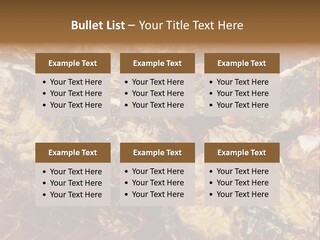 Taste Oyster Lot PowerPoint Template