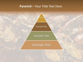 Taste Oyster Lot PowerPoint Template