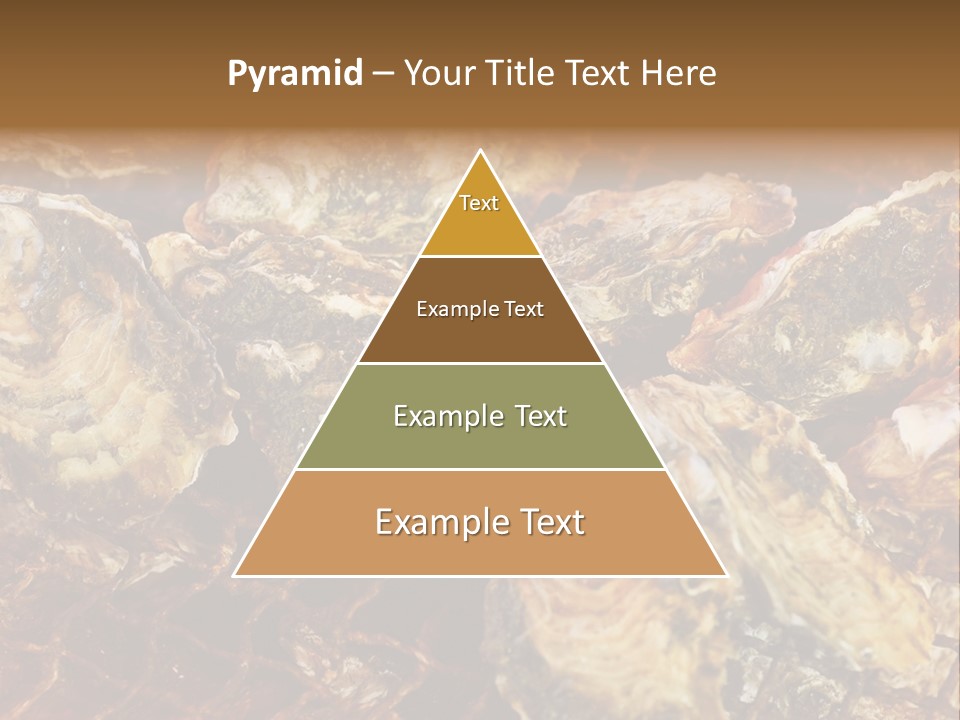Taste Oyster Lot PowerPoint Template