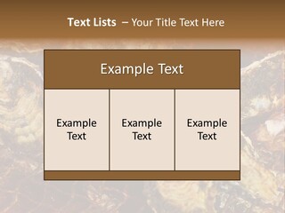 Taste Oyster Lot PowerPoint Template