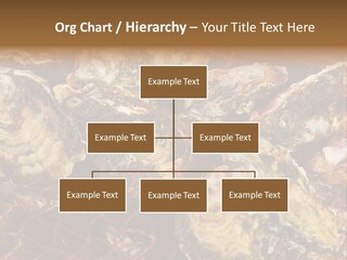 Taste Oyster Lot PowerPoint Template