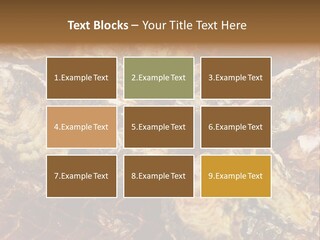 Taste Oyster Lot PowerPoint Template
