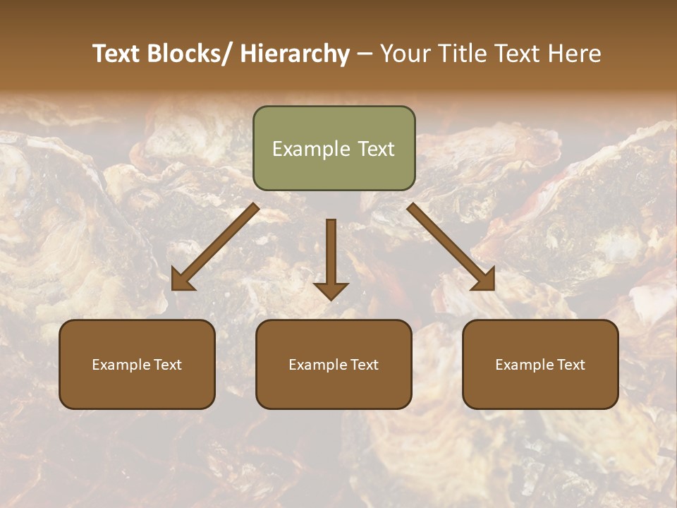 Taste Oyster Lot PowerPoint Template