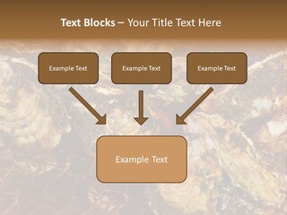 Taste Oyster Lot PowerPoint Template
