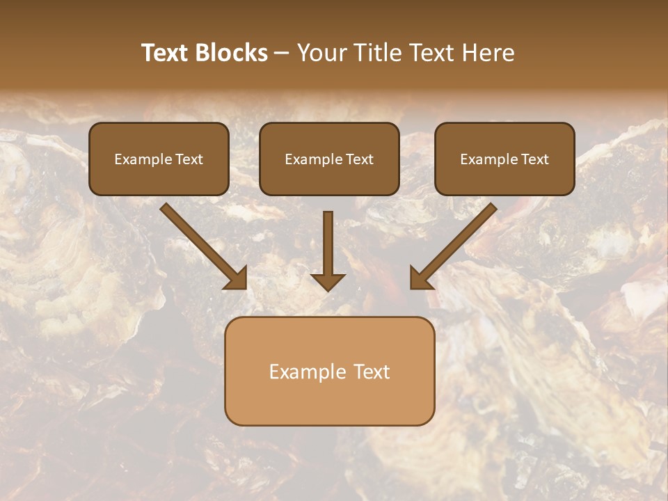Taste Oyster Lot PowerPoint Template