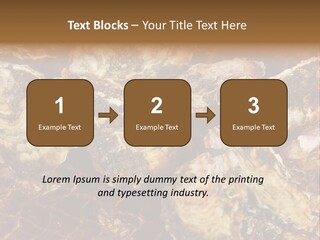 Taste Oyster Lot PowerPoint Template