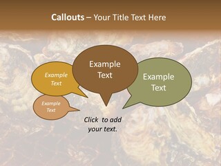 Taste Oyster Lot PowerPoint Template
